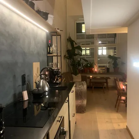 Downtown Elegance Apartment Oslo